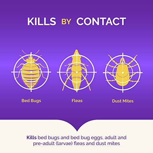 Hot Shot Bed Bug Killer with Egg Kill