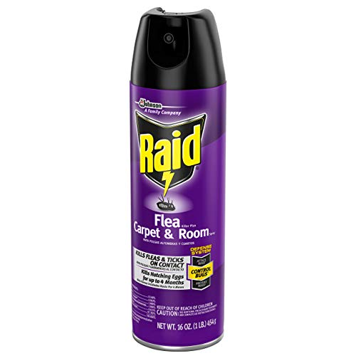 Raid Flea Killer Carpet and Room Spray, 16 OZ (Pack - 1)
