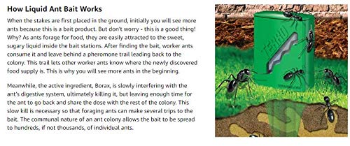Terro Liquid Ant Bait Boxed 8 / Pack