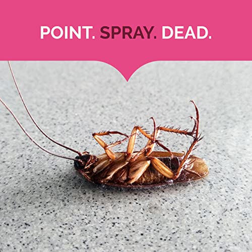 Hot Shot Ant, Roach & Spider Killer